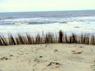 Vakantieappartement De Koog Omgeving 26