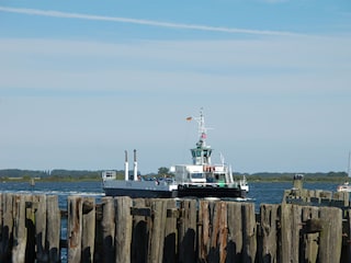 Schiff