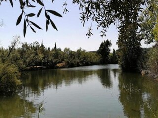 Appartement Saint-Aygulf  21