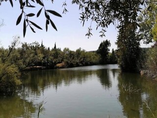 Appartement Saint-Aygulf  16