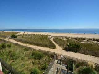 Appartement Notre-Dame-de-Monts Omgeving 19