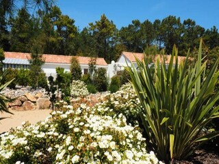 Appartement Notre-Dame-de-Monts Buitenaudio-opname 4