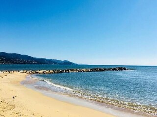 Appartement Le Lavandou  8