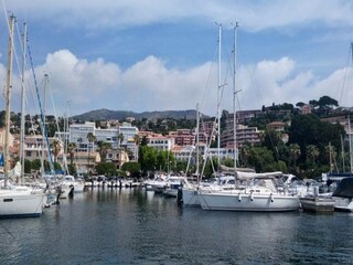 Apartment Le Lavandou  13