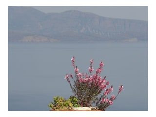 Villa Mochlos Omgeving 21