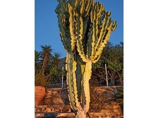 Villa Mochlos Ambiente 24