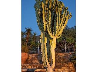 Villa Mochlos Entorno 24