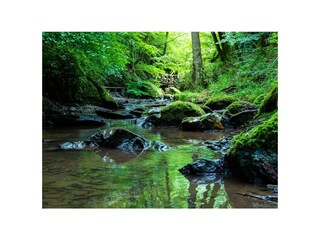 Bachlauf im Tal