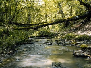 Ferienwohnung Burgen an der Mosel Außenaufnahme 19