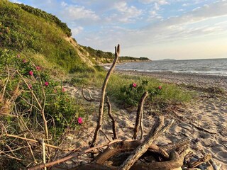Villa Dranske Außenaufnahme 14