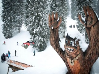 Apartment Morzine Umgebung 24