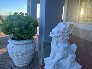 Villa Cuneo Ambiente 40