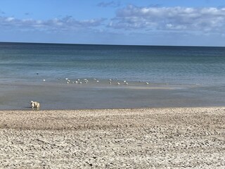 Am Strand