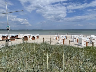 Relaxen im Strandkorb