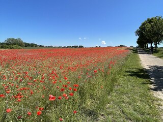 Am Ostseeradweg