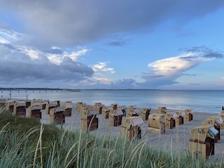 Blick zur Seebrücke