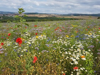 Wandern im Haunetal