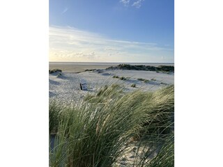 Düne