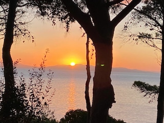 Villa Porto Azzurro  38