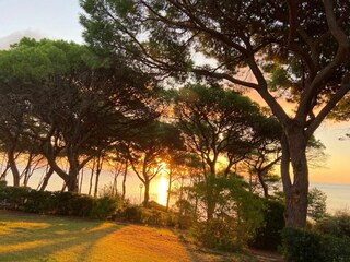 Villa Porto Azzurro  39