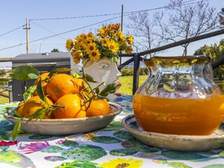 Apartment Portoferraio  17