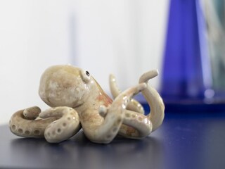 Apartment Portoferraio  22