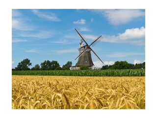 Ferienwohnung Wyk auf Föhr Umgebung 11