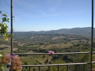 Casa de vacaciones Radicondoli Entorno 37