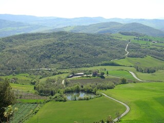 Casa de vacaciones Radicondoli Entorno 35