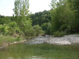 Holiday house Radicondoli Environment 38