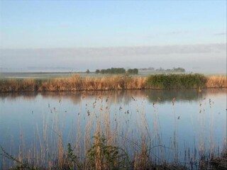 Vakantiehuis Simonshaven Omgeving 14
