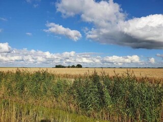Vakantiehuis Simonshaven Omgeving 29