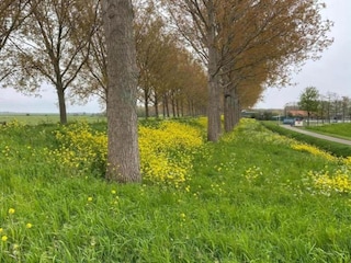 Ferienhaus Simonshaven Umgebung 32