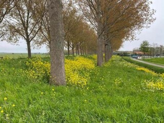 Vakantiehuis Simonshaven Omgeving 10