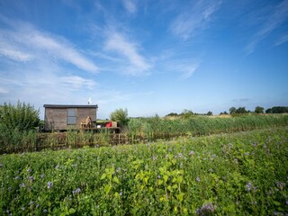 Holiday house Oudesluis Outdoor Recording 4