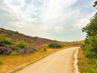 Casa per le vacanze Oudesluis Ambiente 17