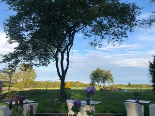 Maison de vacances Wittelte Enregistrement extérieur 3