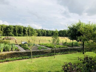 Vakantiehuis Noordwolde Buitenaudio-opname 6