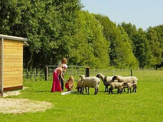 Casa de vacaciones Noordwolde Entorno 25