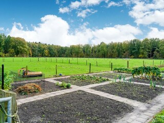Maison de vacances Noordwolde Environnement 19