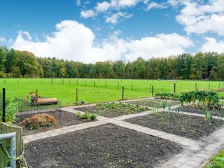 Vakantiehuis Noordwolde Omgeving 21