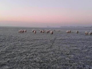 Maison de vacances Sint Nicolaasga Environnement 60