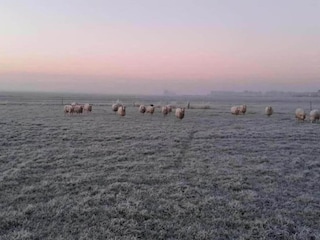 Vakantiehuis Sint Nicolaasga Omgeving 60