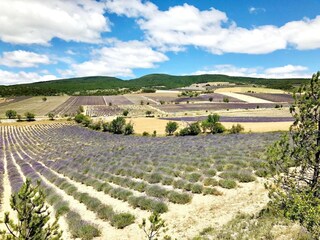 Appartamento Montbrun-les-Bains Ambiente 30