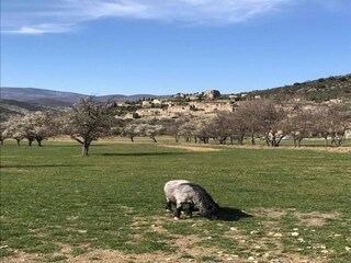 Appartement Montbrun-les-Bains Environnement 32