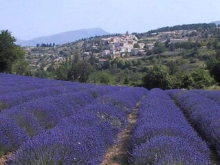 Appartamento Montbrun-les-Bains Ambiente 29
