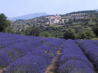 Appartement Montbrun-les-Bains Environnement 31