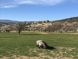 Appartement Montbrun-les-Bains Environnement 27