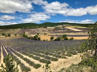 Appartamento Montbrun-les-Bains Ambiente 28