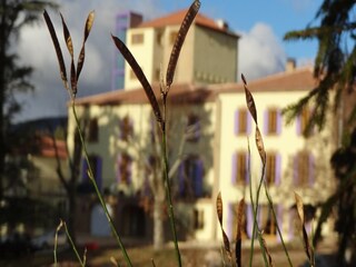 Apartamento Montbrun-les-Bains  39